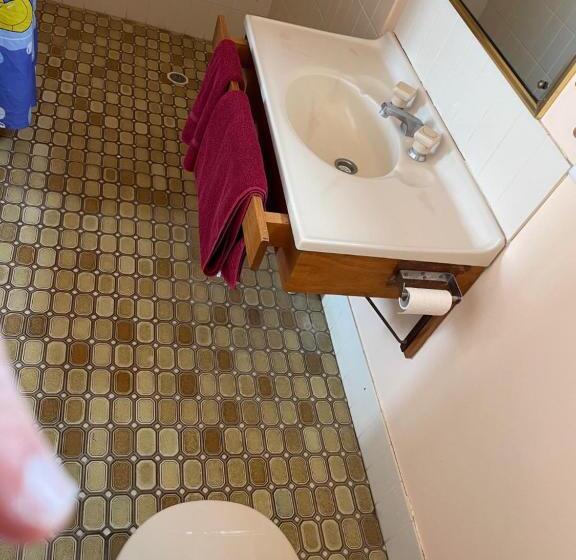 فندق على الطريق True Blue Motor Inn
