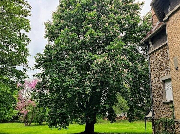 פנסיון Demeure Du Saule Madame