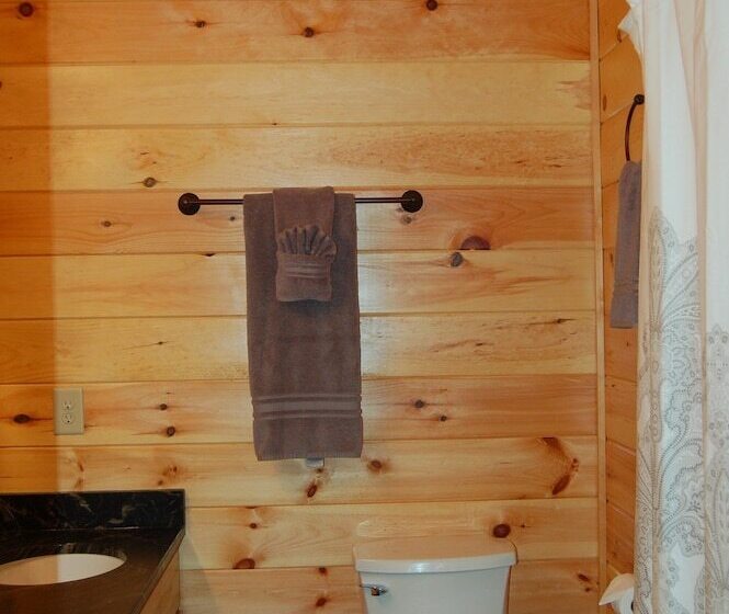 Spacious Cabin With Fantastic Long Range Mountain And Lake Views   Lake Lure   The Overlook 4 Bedroo