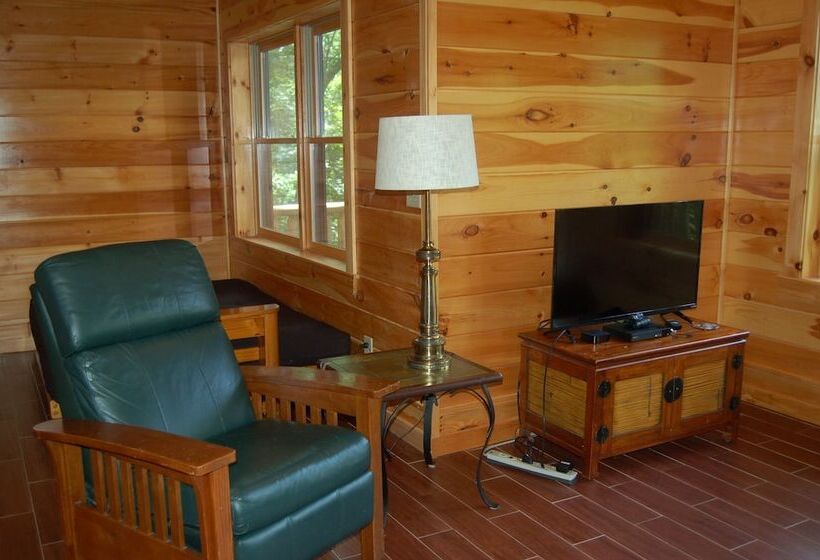 Spacious Cabin With Fantastic Long Range Mountain And Lake Views   Lake Lure   The Overlook 4 Bedroo