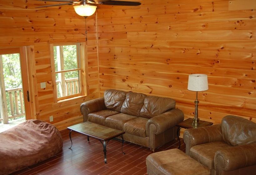 Spacious Cabin With Fantastic Long Range Mountain And Lake Views   Lake Lure   The Overlook 4 Bedroo