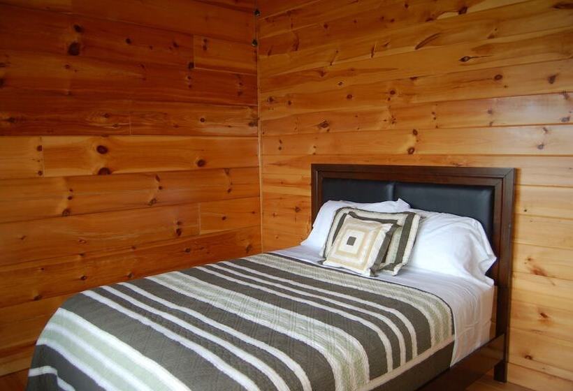 Spacious Cabin With Fantastic Long Range Mountain And Lake Views   Lake Lure   The Overlook 4 Bedroo