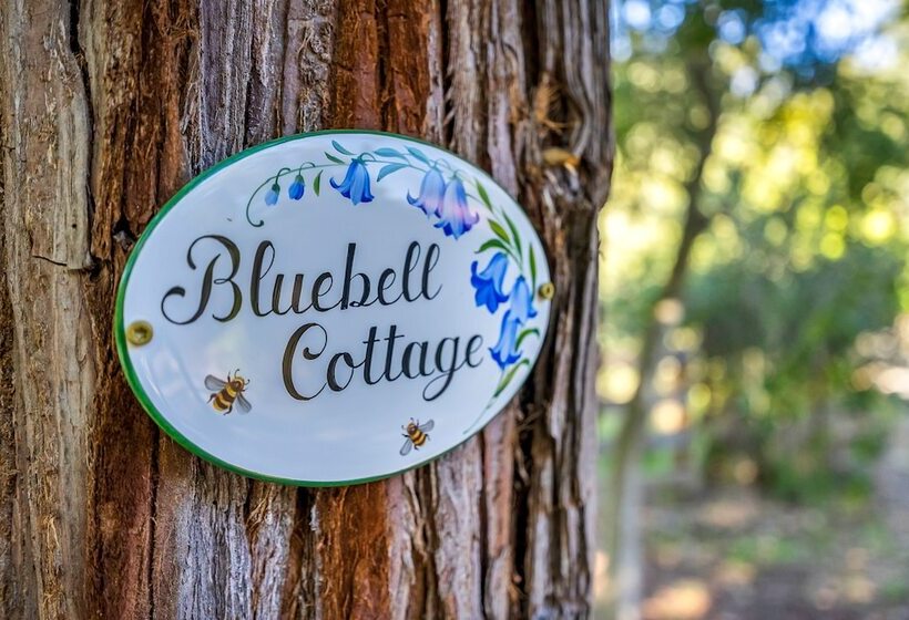 Wine Country Retreat W/ Pool, 10 Mi To Dtwn Sonoma