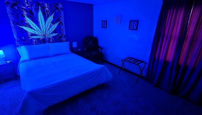 مبيت وإفطار The Canna House By High Society Rentals