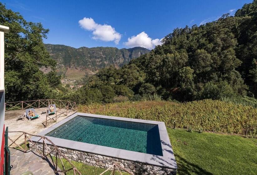 Casa Do Lanço   Malvasia, Wine And Laurissilva