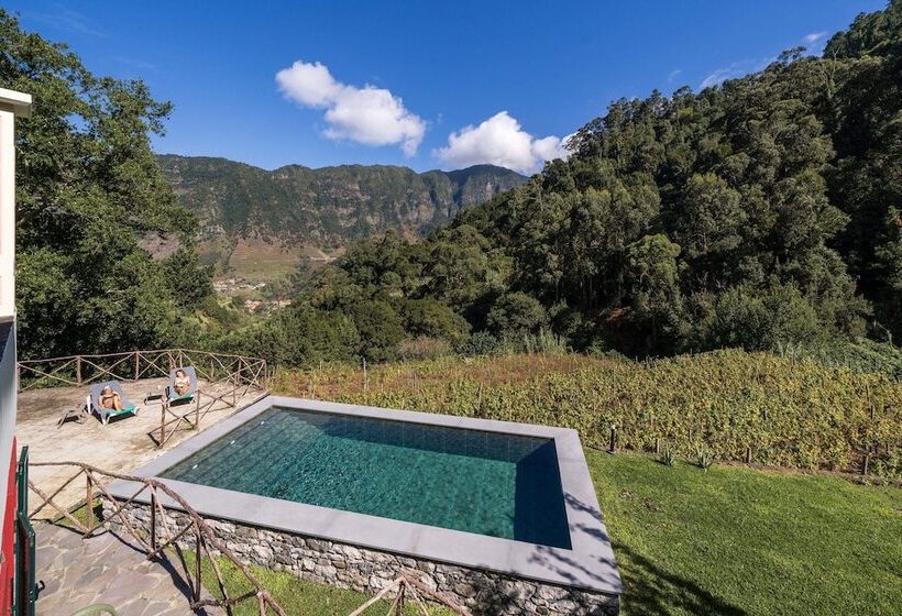 Casa Do Lanço   Malvasia, Wine And Laurissilva