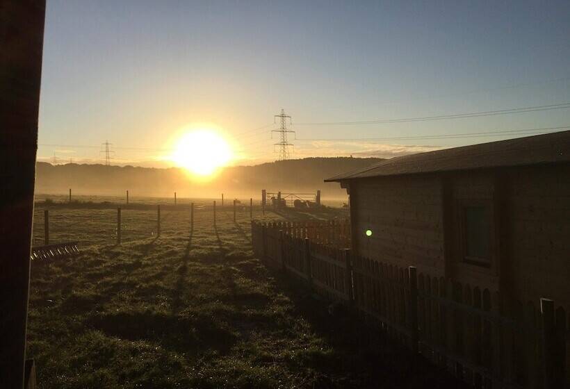 Cosy 1 Bed Farm Stay Cabin
