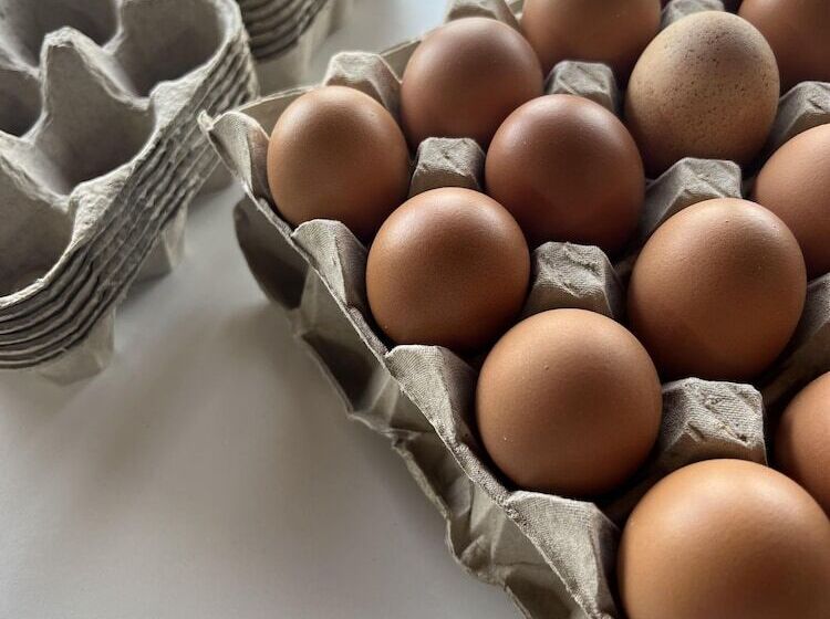 Geodome With Sea Views Near Pendine