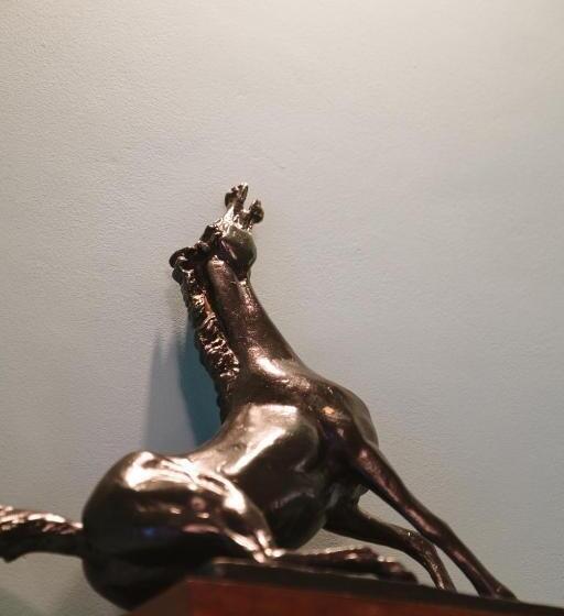 酒店 Albergo Diffuso Dimora Rossi Charme B&b