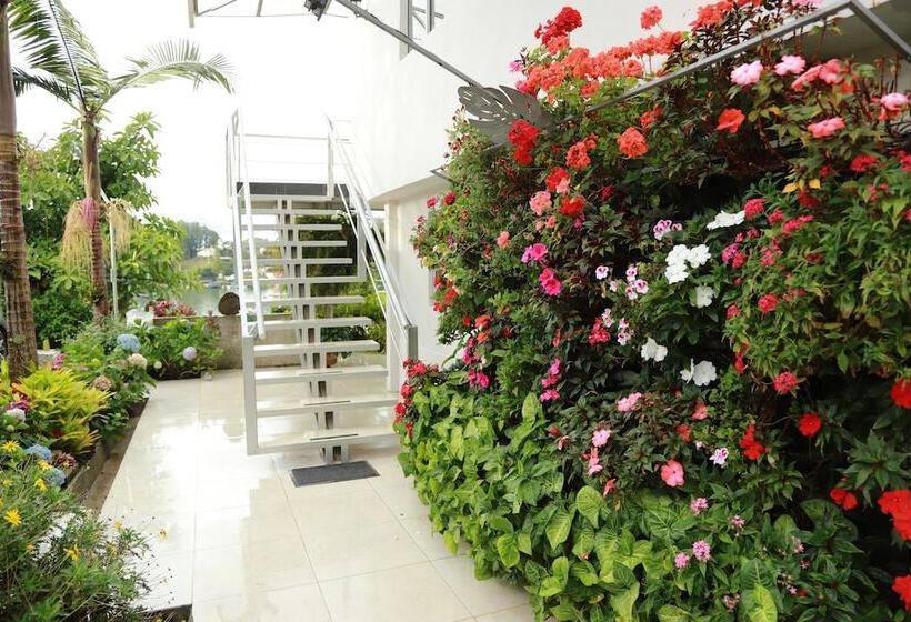 Отель Bania Travels