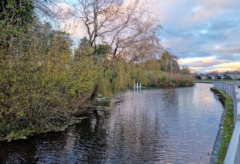 Hotel Buena Vista On Mountain View Memorymakers