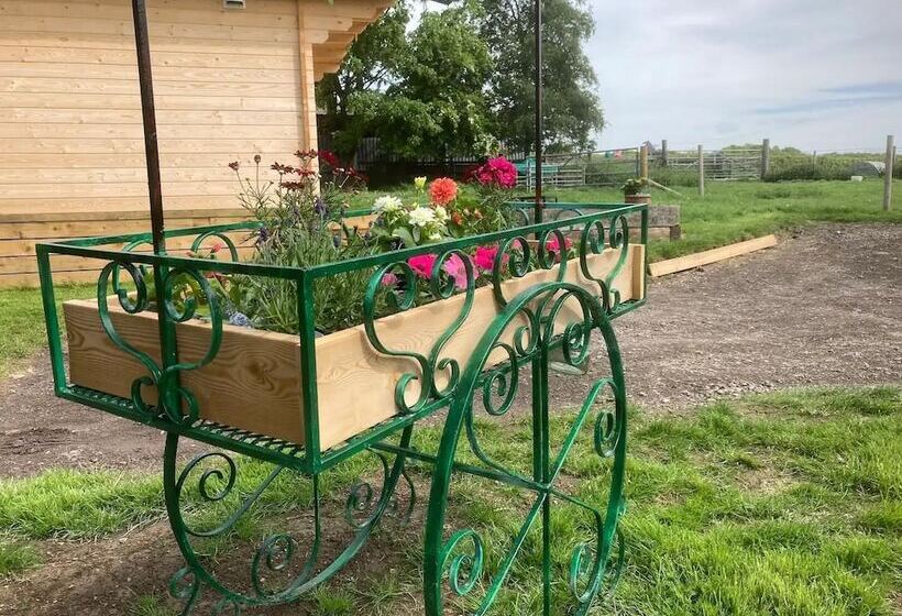 בית מלון כפרי Captivating 1 Bed Lodge In Chesterfield