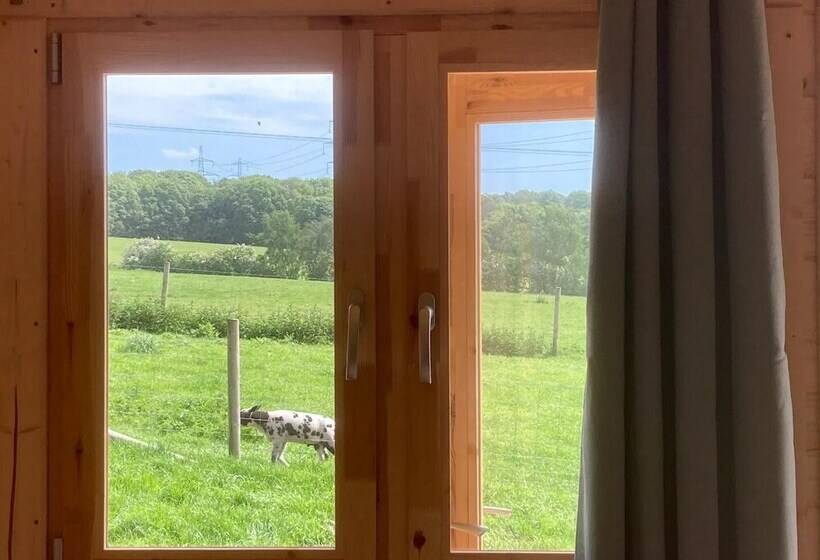 ホテル Captivating 1 Bed Lodge In Chesterfield