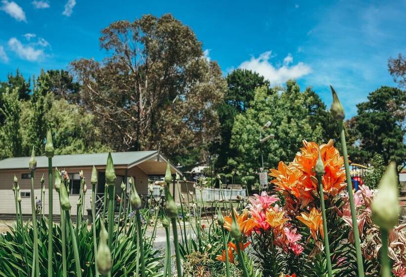 בית מלון כפרי Eagle Hawk Park