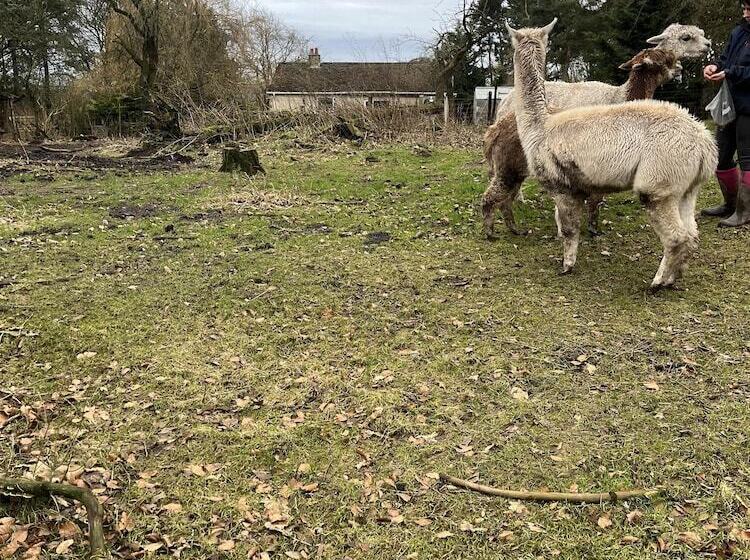 ホテル Immaculate 2 Bed Lodge In Harrogate