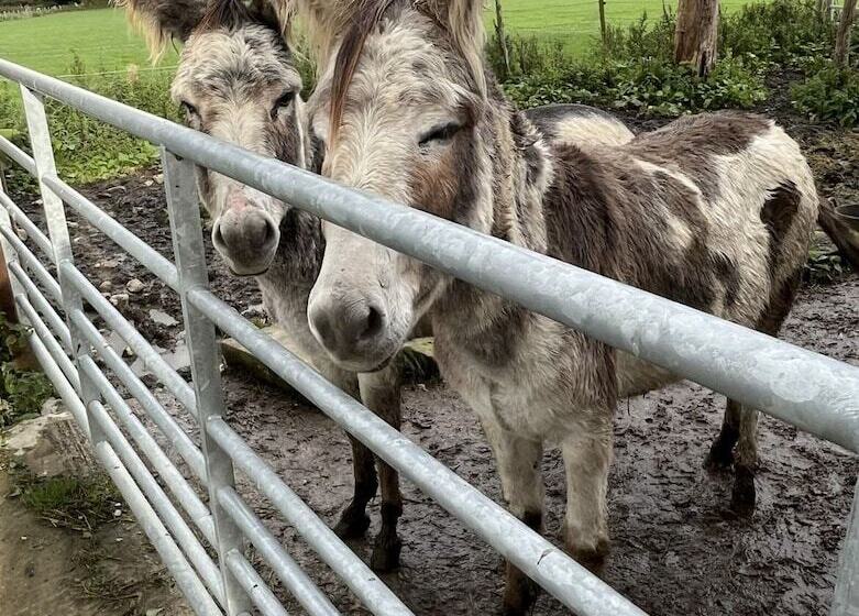 ホテル Immaculate 2 Bed Lodge In Harrogate