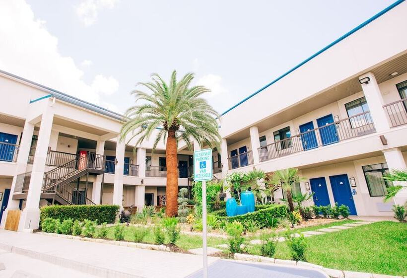 בית מלון כפרי Palace Inn Blue I 45 & College Ave