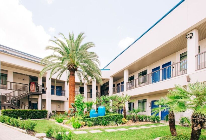 בית מלון כפרי Palace Inn Blue I 45 & College Ave