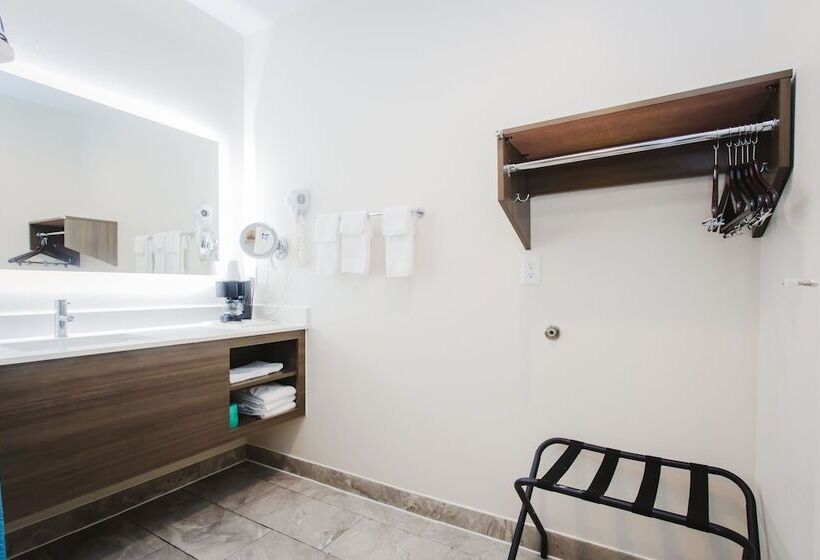 בית מלון כפרי Palace Inn Blue I 45 & College Ave