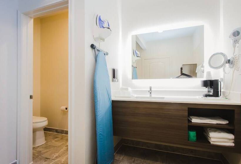 בית מלון כפרי Palace Inn Blue I 45 & College Ave