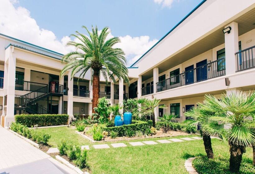 בית מלון כפרי Palace Inn Blue I 45 & College Ave