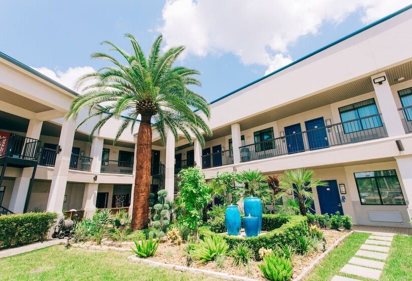 בית מלון כפרי Palace Inn Blue I 45 & College Ave