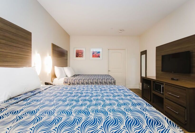 בית מלון כפרי Palace Inn Blue I 45 & College Ave