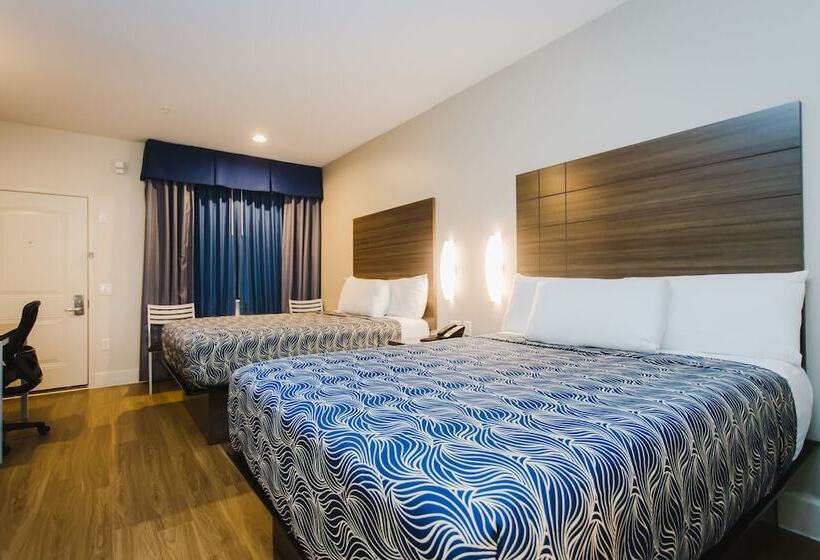 هتل Palace Inn Blue I 45 & College Ave