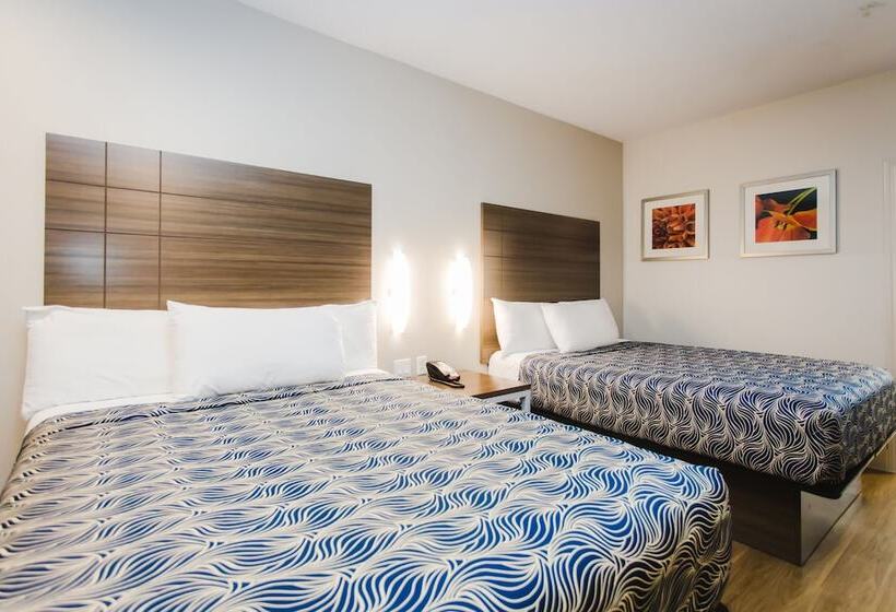 בית מלון כפרי Palace Inn Blue I 45 & College Ave