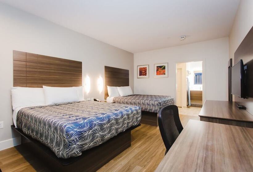 בית מלון כפרי Palace Inn Blue I 45 & College Ave