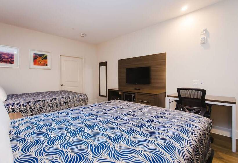 ホテル Palace Inn Blue I 45 & College Ave