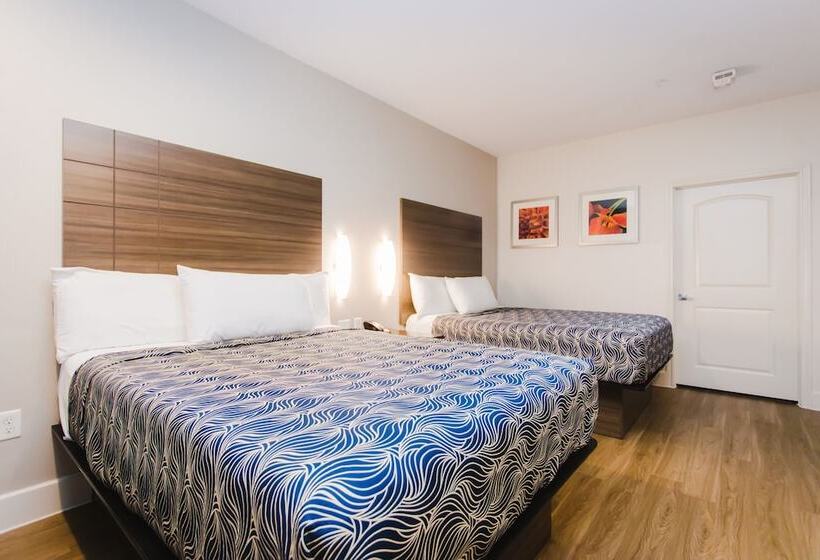 ホテル Palace Inn Blue I 45 & College Ave