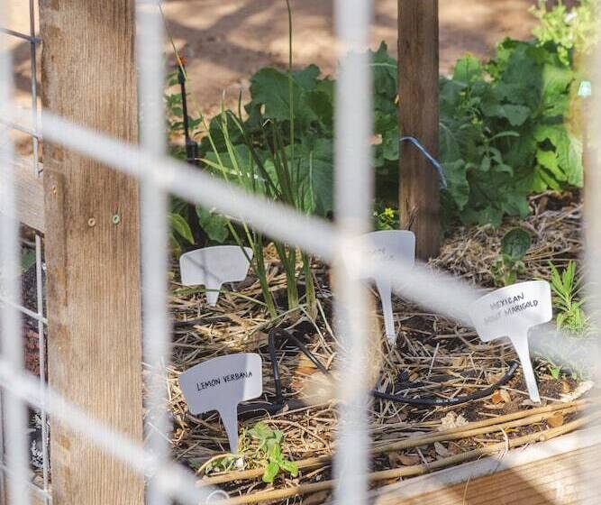 호텔 The Peacock Yurt At Camposanto Atx Glamping On Lake Travis