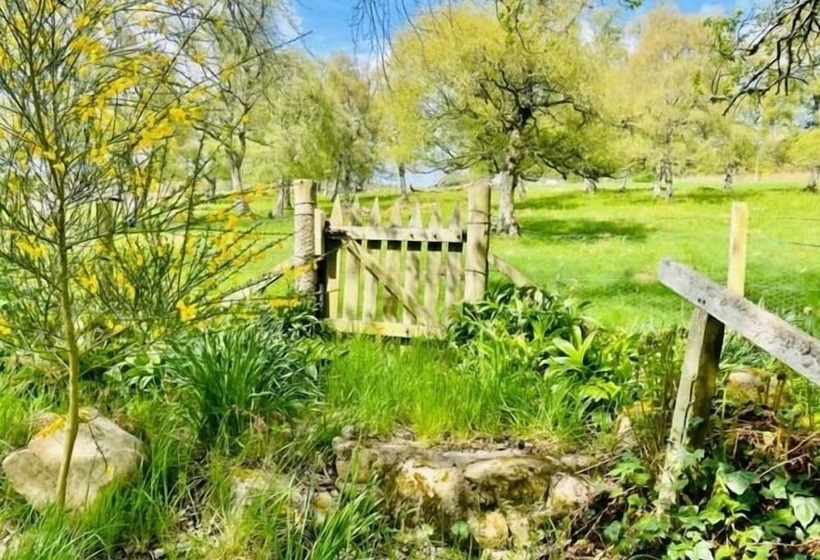 فندق Tom S Lodge