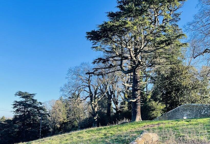 Log Burner And Beamed Ceilings King Size Bed