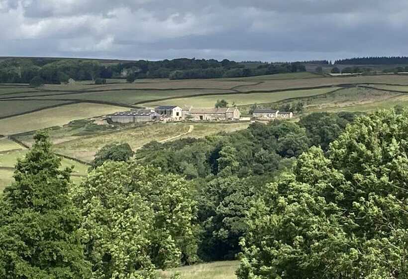 Moorlands Farm Holidays