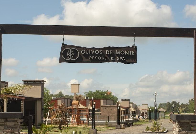 Olivos De Monte