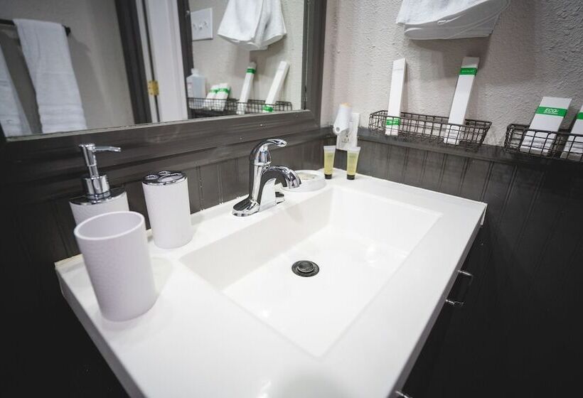 بنسيون La Palma Guesthouse