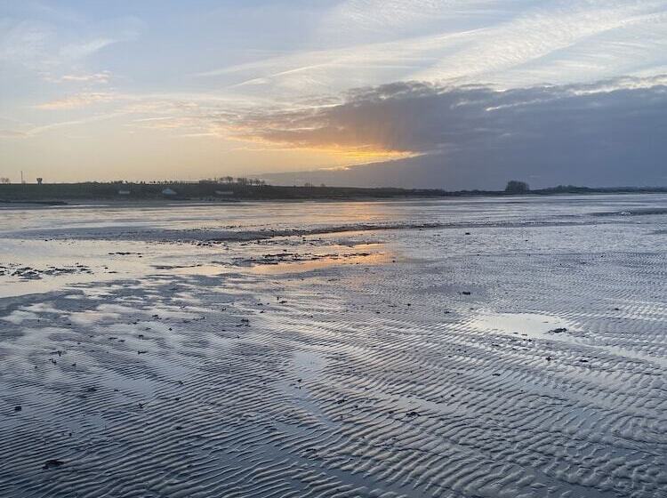 بنسيون La Villa Mirabelle