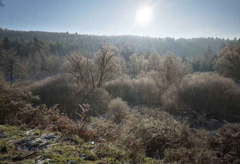 펜션 Maison D Hôtes De Charme   Ancien Moulin En Pleine Nature   La Paulusmühle