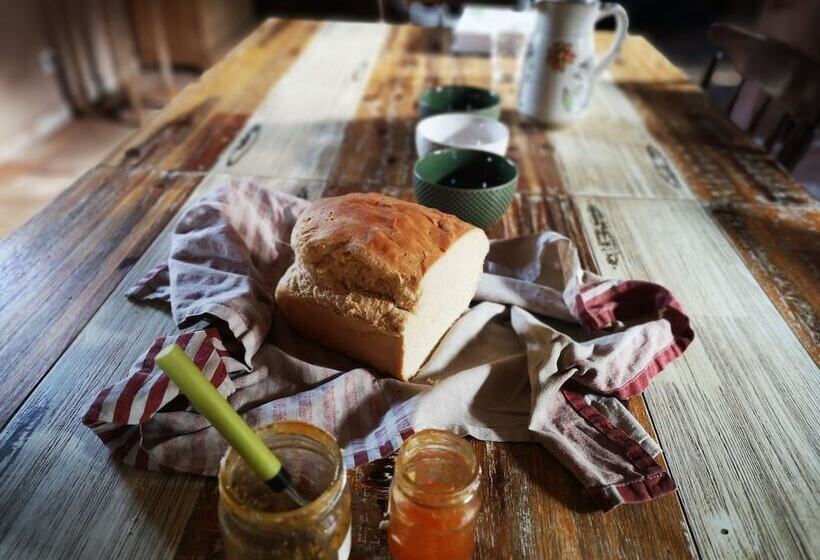 펜션 Maison D Hôtes De Charme   Ancien Moulin En Pleine Nature   La Paulusmühle