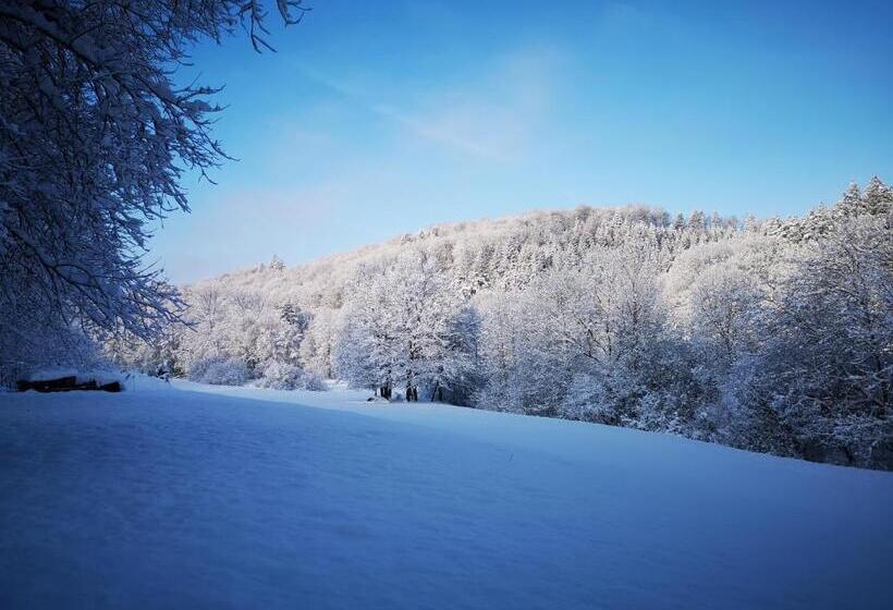 펜션 Maison D Hôtes De Charme   Ancien Moulin En Pleine Nature   La Paulusmühle