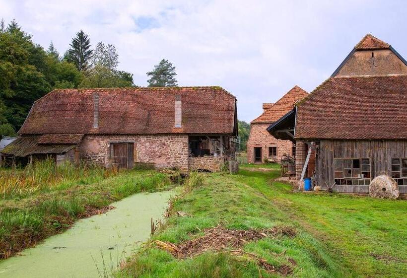 펜션 Maison D Hôtes De Charme   Ancien Moulin En Pleine Nature   La Paulusmühle