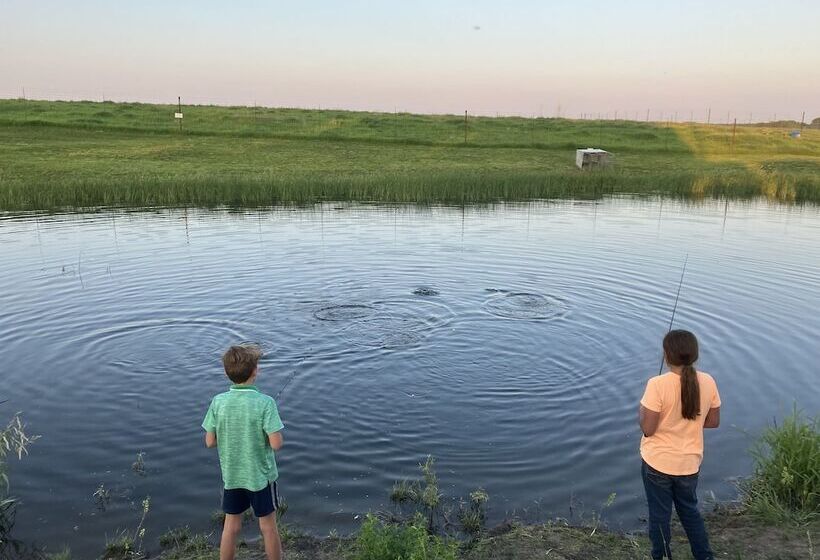 بنسيون Sycamore Springs