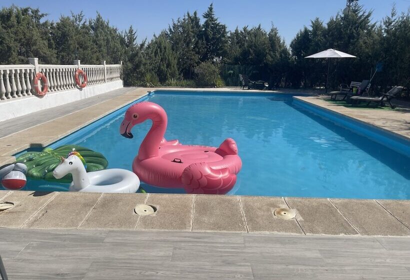 بنسيون Villa Preciosa