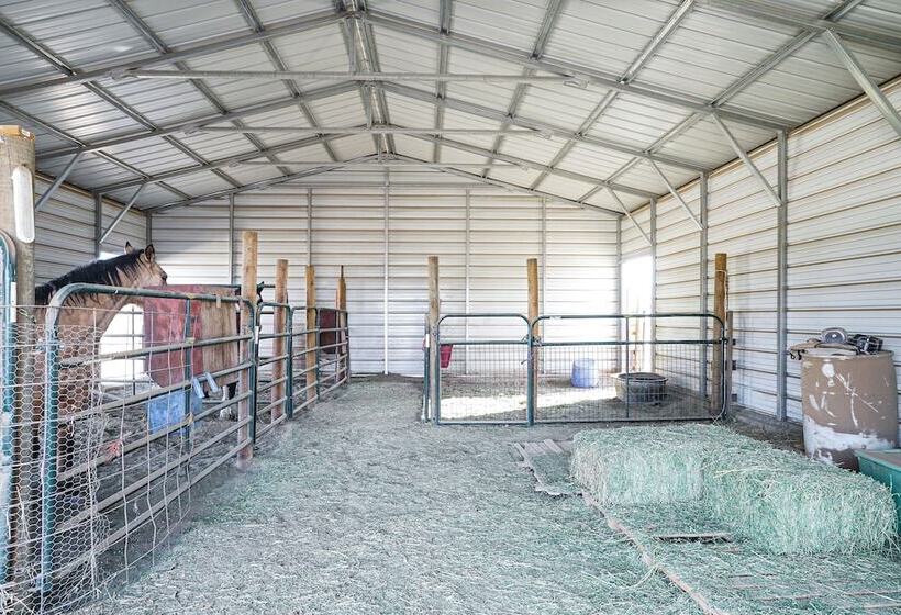 Quiet Country Home In Las Cruces W/ Horse Stalls!