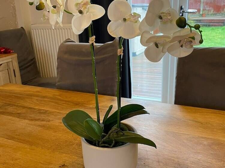 إقامة Beautiful 3 Bed House In Romford