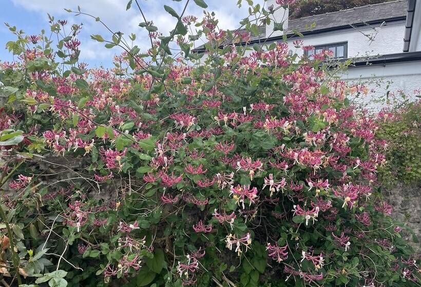 住所  Simple Luxury In Brecon Beacons Village House