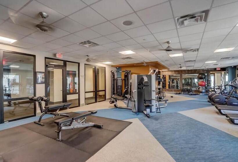 Two Modern Cozysuites At Town Lake