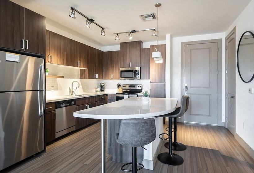 Two Modern Cozysuites At Town Lake